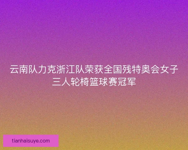 云南队力克浙江队荣获全国残特奥会女子三人轮椅篮球赛冠军